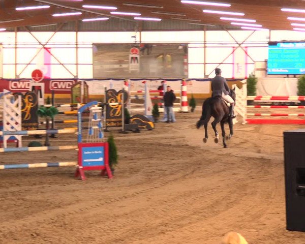 Reitturnier Pausin 2017