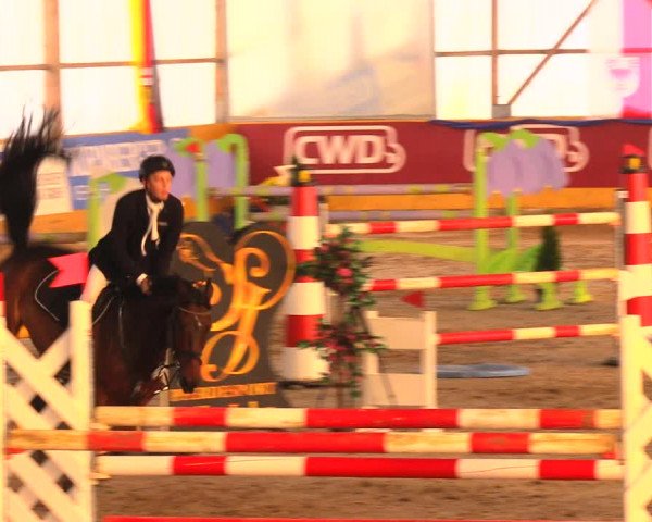 Reitturnier Pausin 2017
