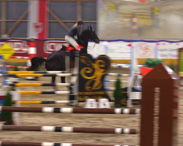 Reitturnier Pausin 2017
