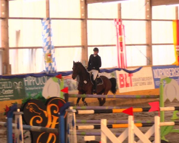 Reitturnier Pausin 2017