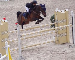 jumper Double Risk (KWPN (Royal Dutch Sporthorse), 2008, from Lucky Boy)