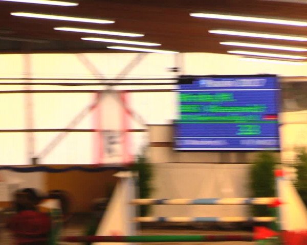 Reitturnier Pausin 2017