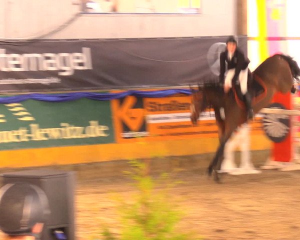 Reitturnier Pausin 2017