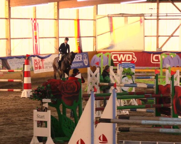 Reitturnier Pausin 2017