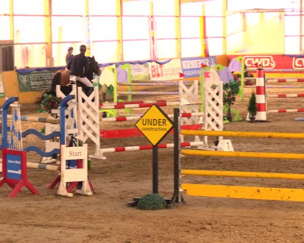 Reitturnier Pausin 2017