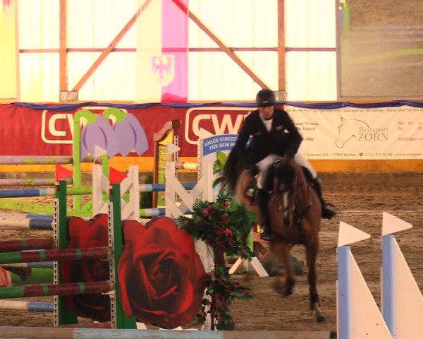 Reitturnier Pausin 2017