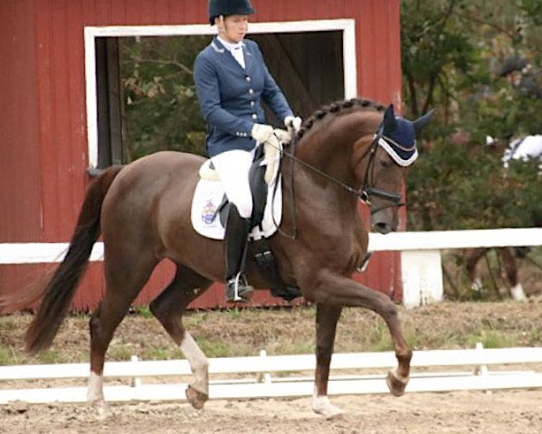 broodmare Fynicia (Oldenburg, 2013, from Callaho's Benicio)