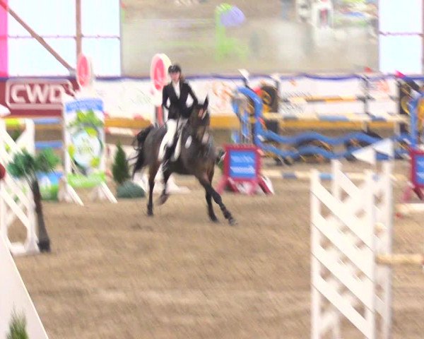 Reitturnier Pausin 2017