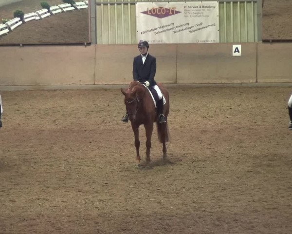 Reitturnier Bonn - Gut Ettenhausen 2017