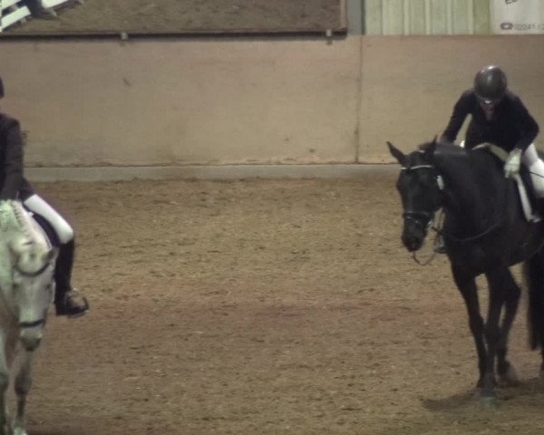 Reitturnier Bonn - Gut Ettenhausen 2017