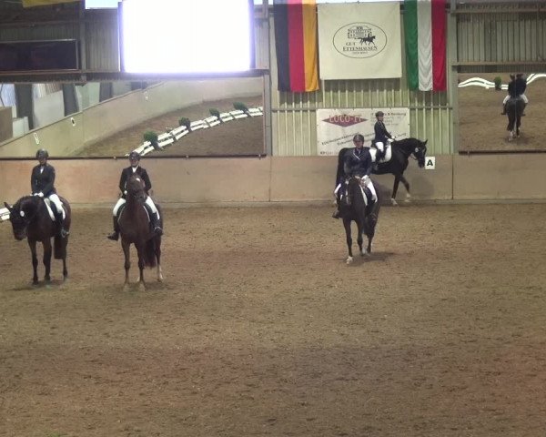 Reitturnier Bonn - Gut Ettenhausen 2017