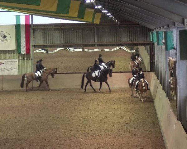 Reitturnier Bonn - Gut Ettenhausen 2017