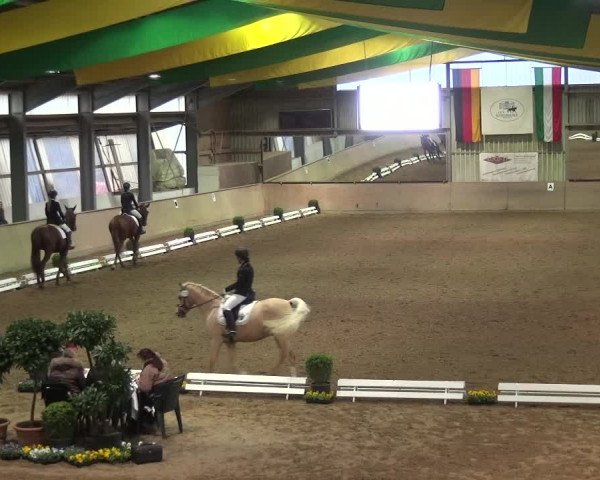 Reitturnier Bonn - Gut Ettenhausen 2017