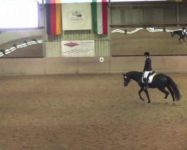Reitturnier Bonn - Gut Ettenhausen 2017