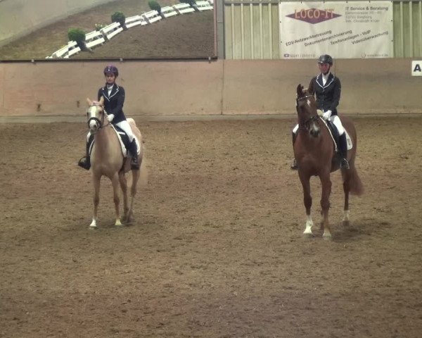 Reitturnier Bonn - Gut Ettenhausen 2017