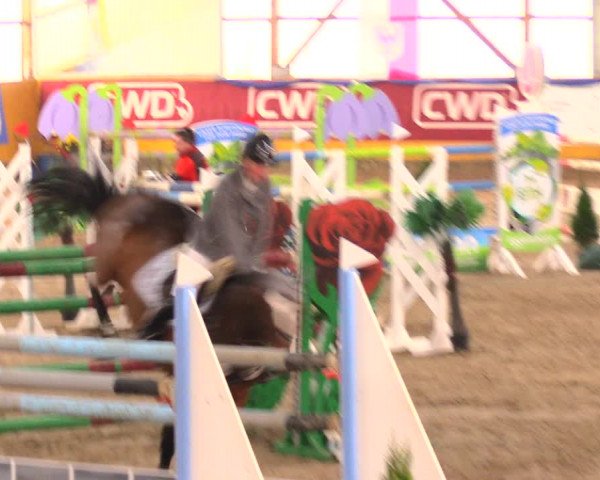 Reitturnier Pausin 2017