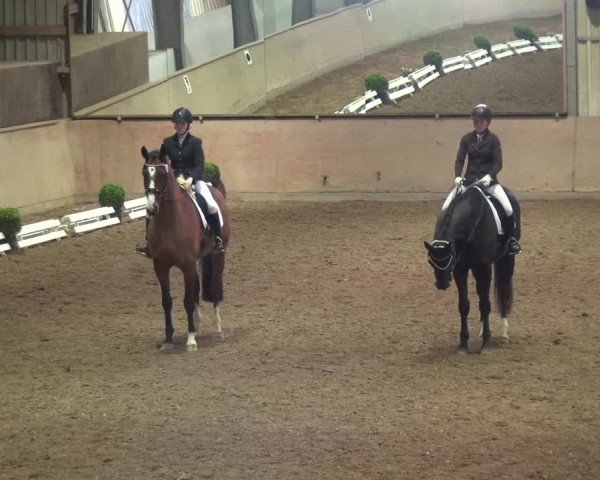 Reitturnier Bonn - Gut Ettenhausen 2017