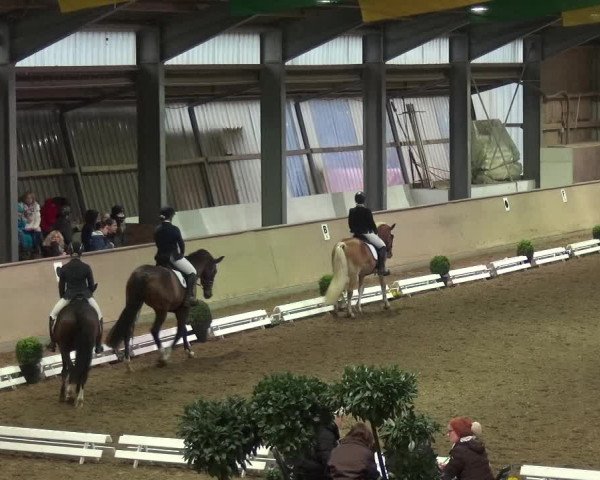 Reitturnier Bonn - Gut Ettenhausen 2017