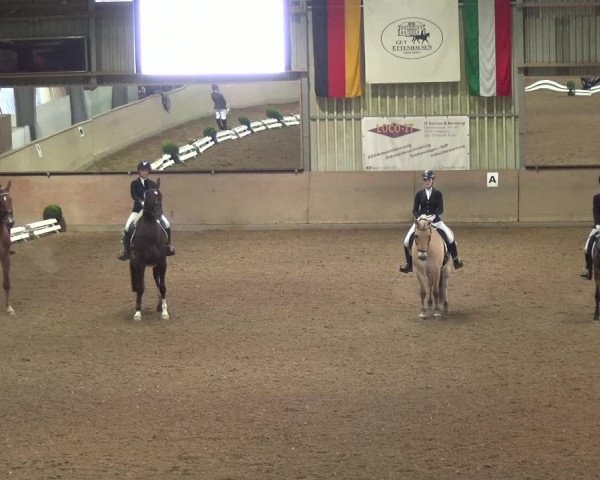 Reitturnier Bonn - Gut Ettenhausen 2017