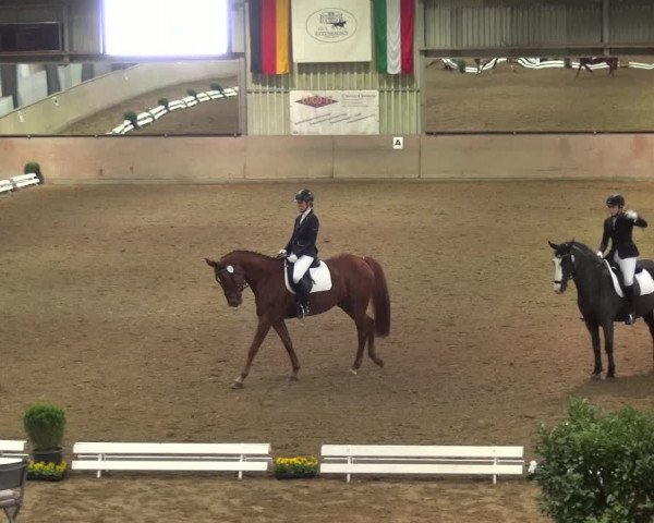 Reitturnier Bonn - Gut Ettenhausen 2017