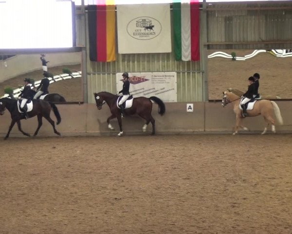 Reitturnier Bonn - Gut Ettenhausen 2017
