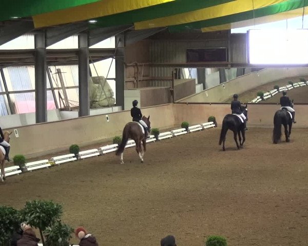 Reitturnier Bonn - Gut Ettenhausen 2017