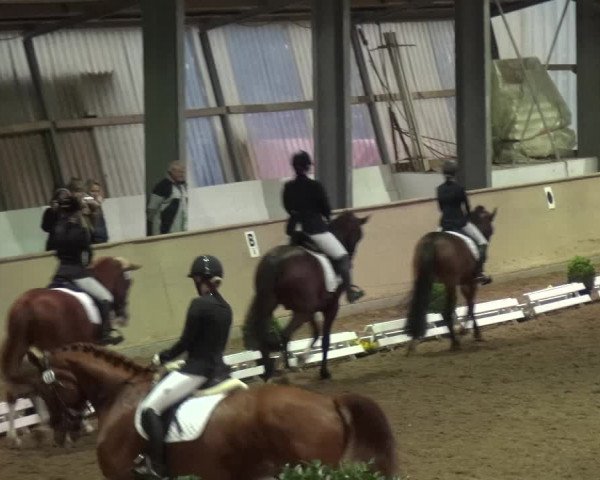 Reitturnier Bonn - Gut Ettenhausen 2017