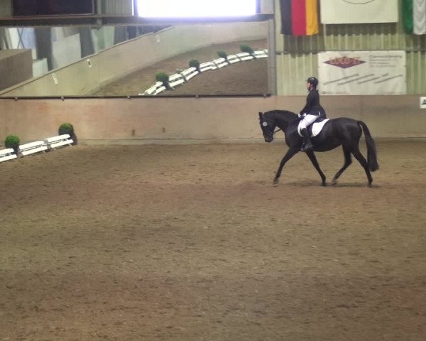 Reitturnier Bonn - Gut Ettenhausen 2017