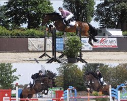 jumper Con Ticco (Holsteiner, 2010, from Corrado I)