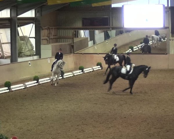 Reitturnier Bonn - Gut Ettenhausen 2017