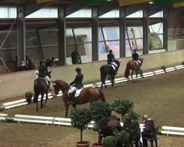 Reitturnier Bonn - Gut Ettenhausen 2017