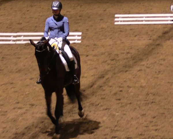 Reitturnier Dallgow 2017