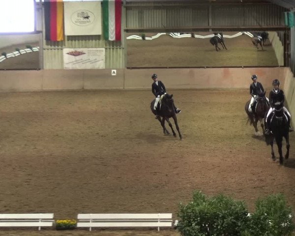 Reitturnier Bonn - Gut Ettenhausen 2017