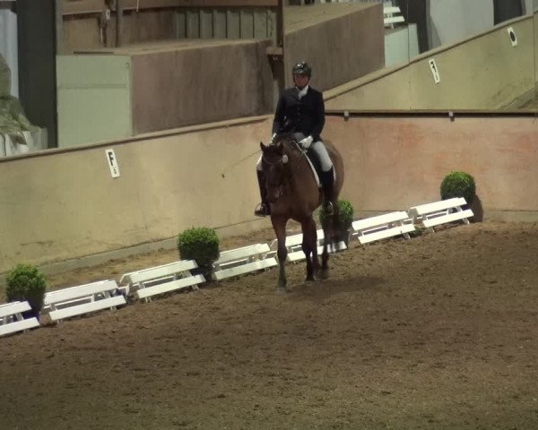 Reitturnier Bonn - Gut Ettenhausen 2017