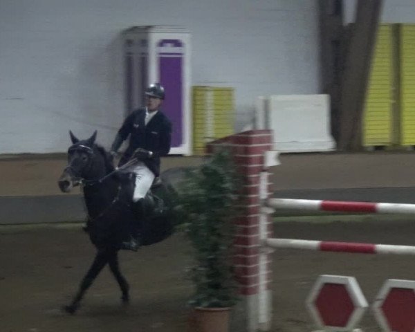 Reitturnier HH-Hummelsbüttel 2017