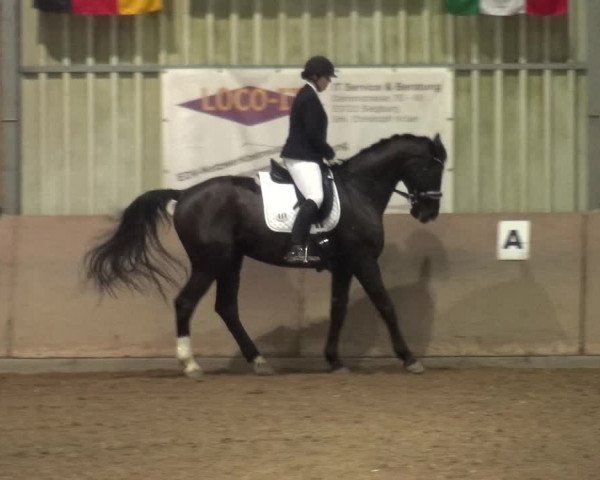 Reitturnier Bonn - Gut Ettenhausen 2017