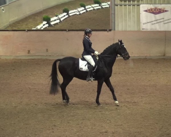 Reitturnier Bonn - Gut Ettenhausen 2017