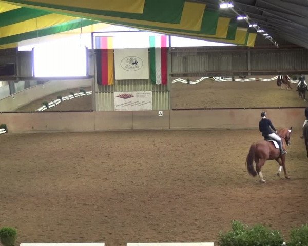Reitturnier Bonn - Gut Ettenhausen 2017