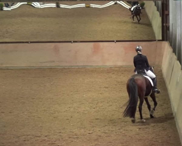 Reitturnier Bonn - Gut Ettenhausen 2017