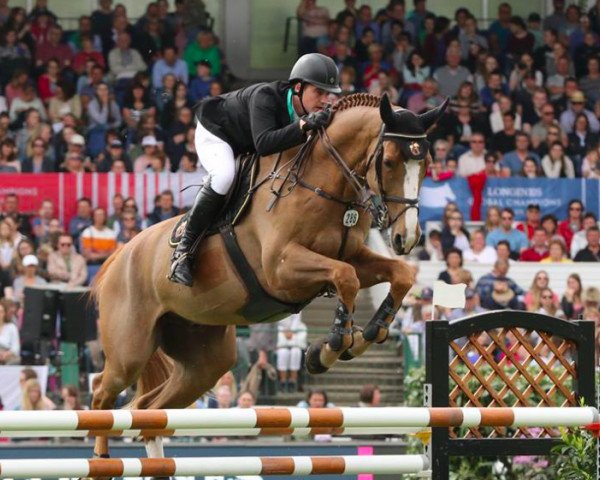 jumper Ugo de la Tour Vidal (Selle Français, 2008, from Ogano Sitte)