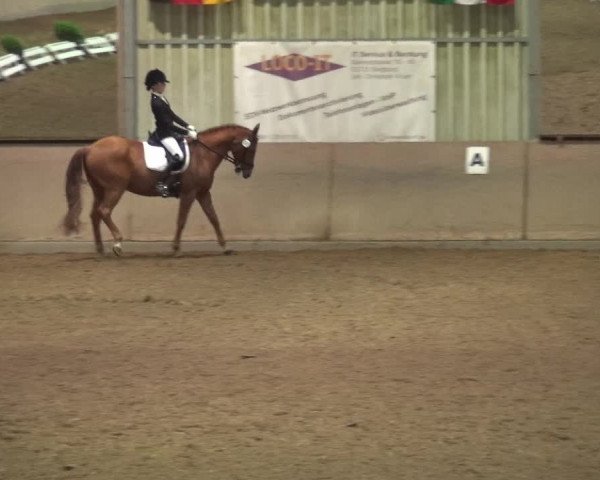 Reitturnier Bonn - Gut Ettenhausen 2017