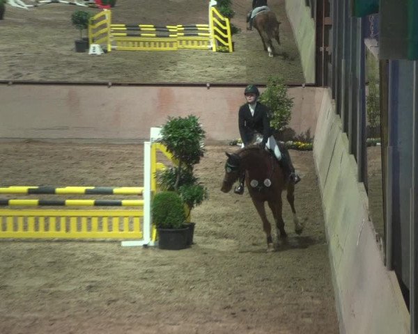 Reitturnier Bonn - Gut Ettenhausen 2017