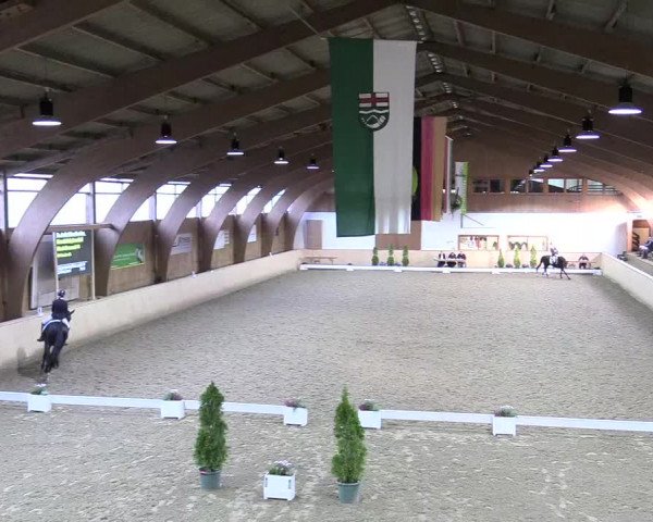 Reitturnier Hövelhof 2017