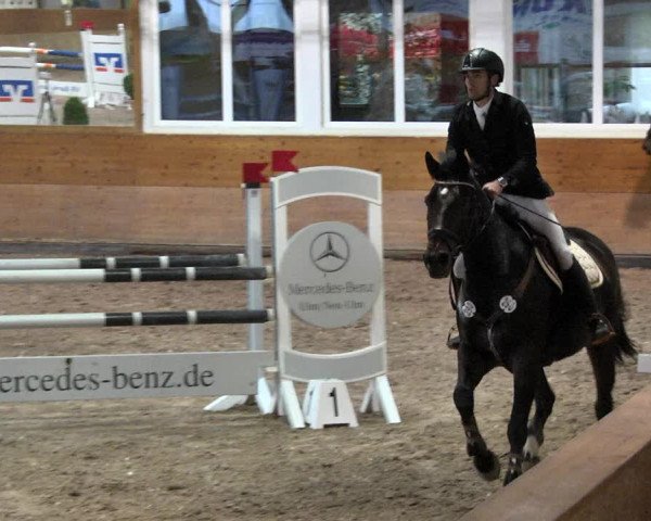 Reitturnier Langenau 2017 - Late Entry nur Springen