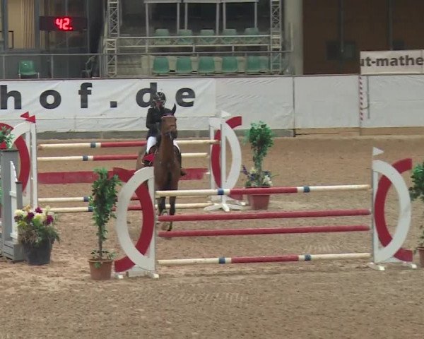 Reitturnier Kreuth 2017
