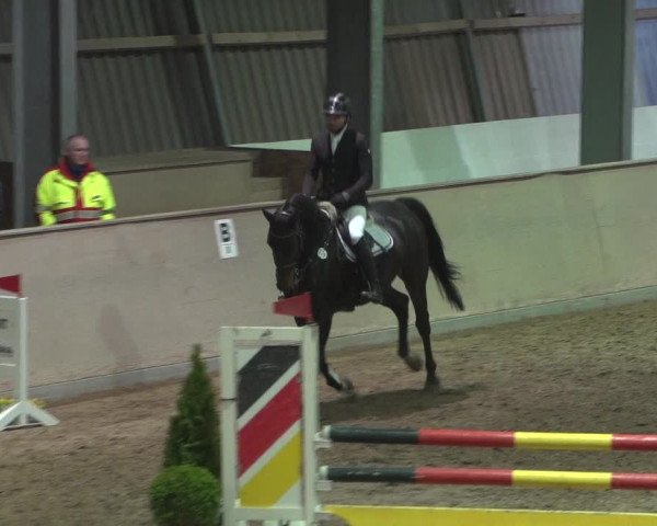 Reitturnier Bonn - Gut Ettenhausen 2017