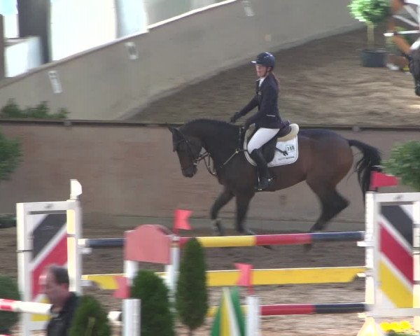 Reitturnier Bonn - Gut Ettenhausen 2017
