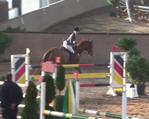 Reitturnier Bonn - Gut Ettenhausen 2017