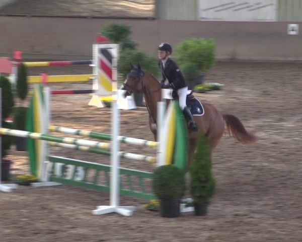 Reitturnier Bonn - Gut Ettenhausen 2017