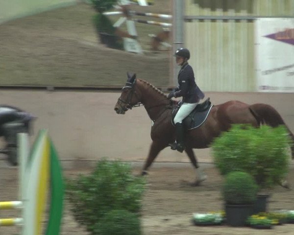 Reitturnier Bonn - Gut Ettenhausen 2017
